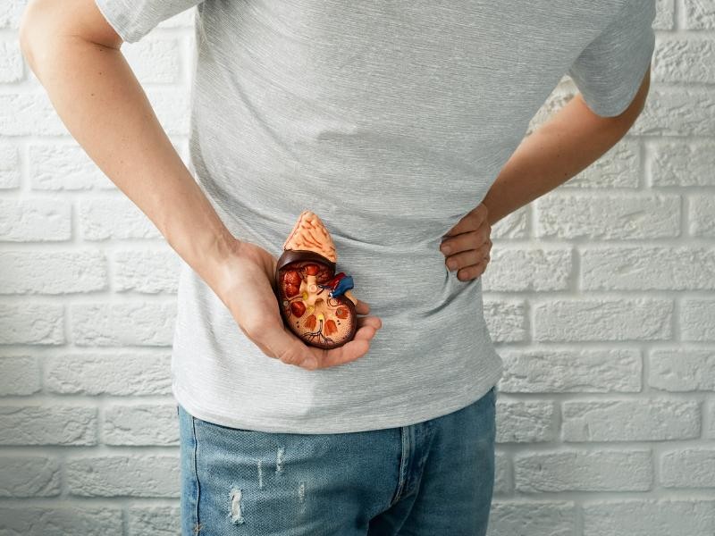 Cálculo Urinário / Pedra nos Rins