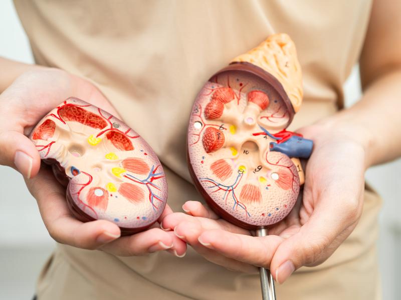 Infecções e Inflamações