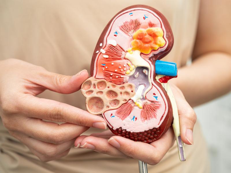 Próstata (Condições Benignas)